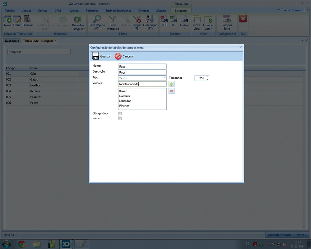 (02) Depois poderá criar as tabelas que necessitar onde os valores das mesmas podem ser: Texto, Texto Longo, Número, Decimal, Sim/Não, Data e Hora e Imagem.