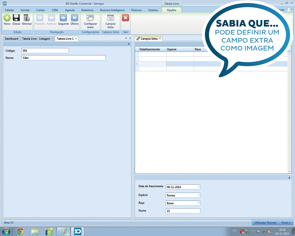 (03) Como a janela de campos extra está linkada com a tabela livre, poderá colocar ambas as janelas lado a lado e acrescentar e/ou editar os valores dos campos.